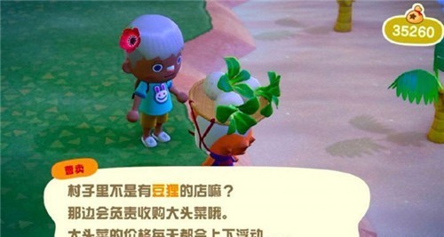 动物森友会大头菜赚钱攻略 大头菜赚钱投资方法