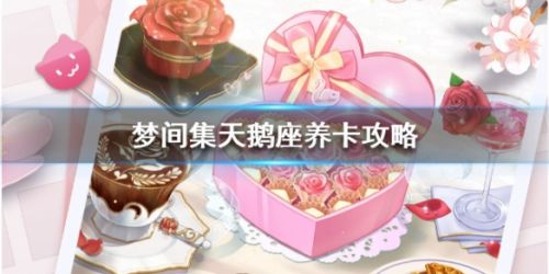 梦间集天鹅座养卡攻略汇总大全 怎么养卡