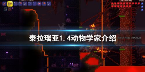 泰拉瑞亚1.4动物学家入住条件 新NPC触发方法攻略