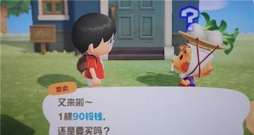 动物森友会大头菜赚钱攻略 大头菜赚钱投资方法