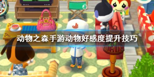 动物之森动物好感度提升攻略