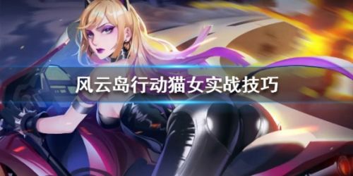 风云岛行动猫女实战技巧分享