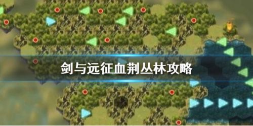 剑与远征血荆丛林打法攻略