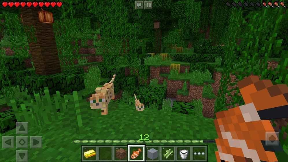 Minecraft1.2.8正式版官方更新