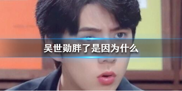 吴世勋胖了是因为什么 吴世勋胖了原因爆料