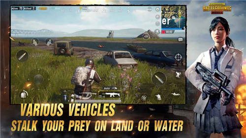 pubg mobile国际服汉化版