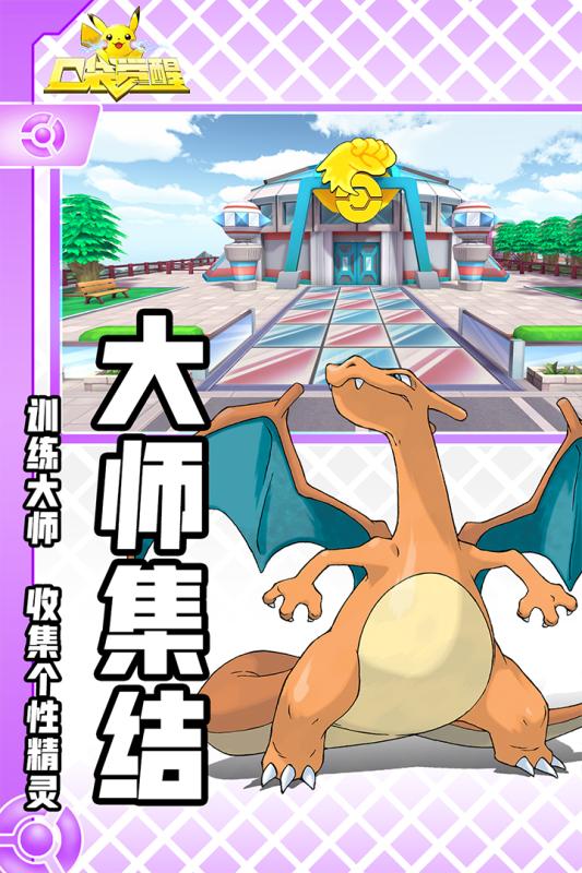 口袋觉醒单机版