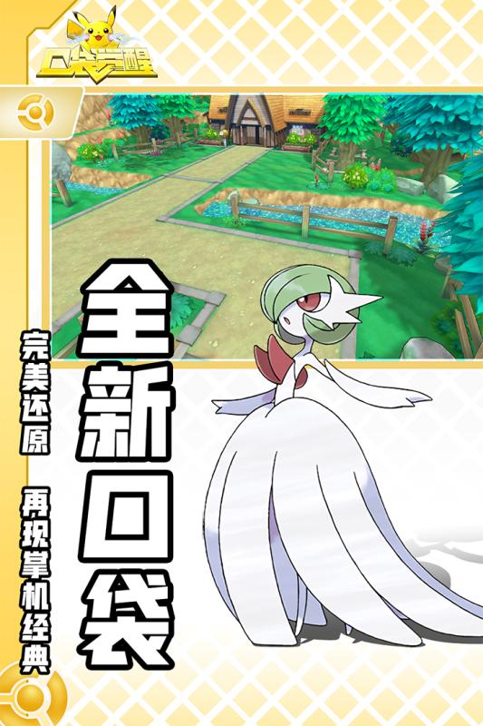 口袋觉醒单机版