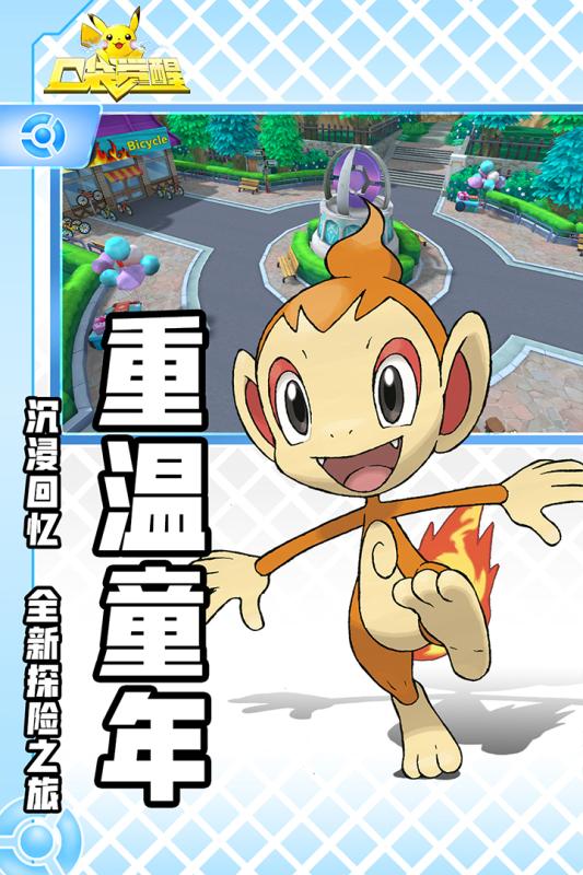 口袋觉醒单机版