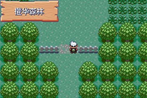 神奇宝贝绿宝石2021最新版