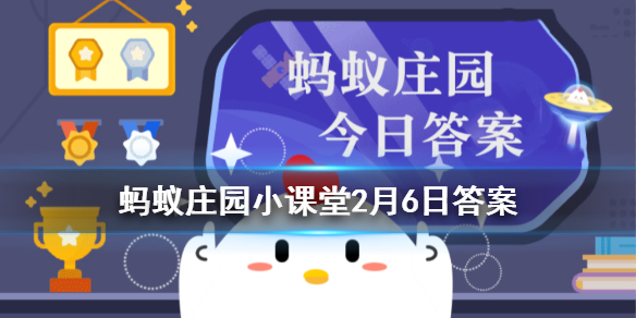 囤了大量的牛羊肉过年用，储存时最好怎么做_今日最新小鸡答案2月6日