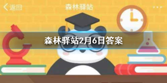 以下哪种虎群已经灭绝_森林驿站2月6日答案