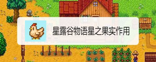 星露谷物语星之果实有啥用-星之果实作用介绍