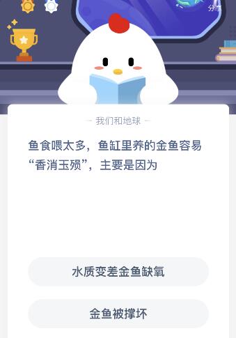 鱼食喂太多蚂蚁庄园-蚂蚁庄园今日答案1月18日