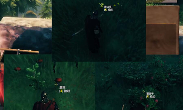 英灵神殿种草怎么操作