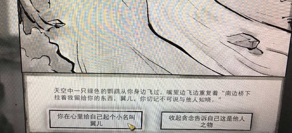 鬼谷八荒鹦鹉奇遇选什么