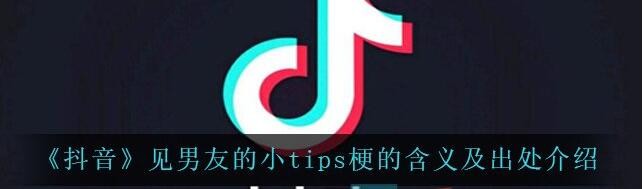 《抖音》见男友的小tips梗的含义及出处介绍