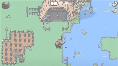 TinyVale