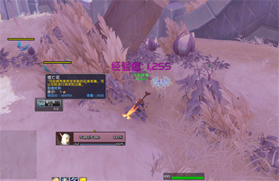 魔兽世界9.0赚金币方法