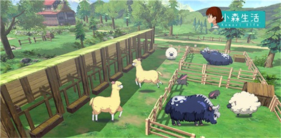 小森生活牧场建造方法