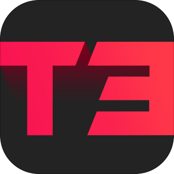 T3