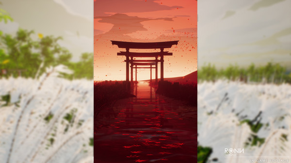 Ronin：TwoSouls完整存档版