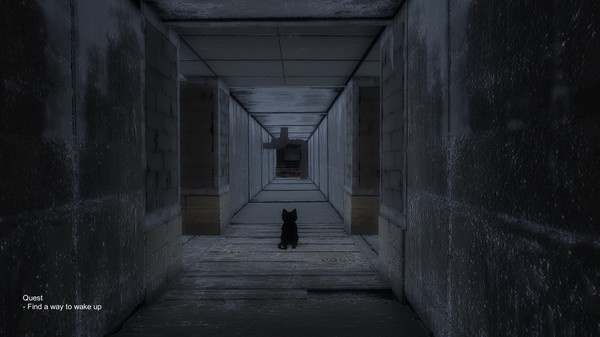 黑猫中文傻瓜包