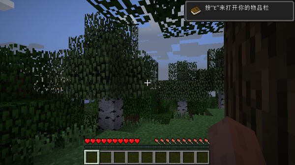 我的世界21w10a中文版