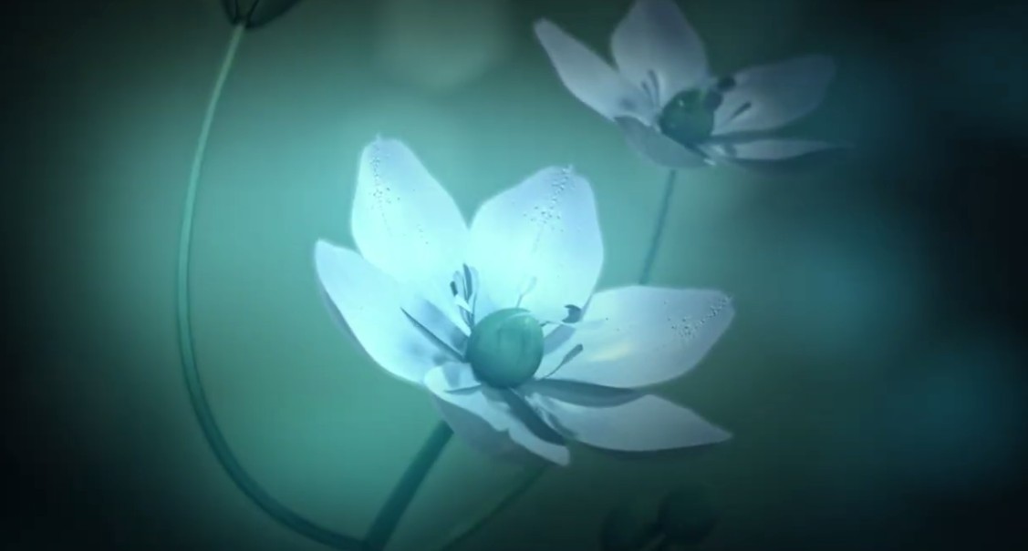 白色情人节2：谎言之花steam破解版