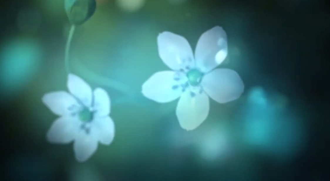 白色情人节2：谎言之花steam破解版