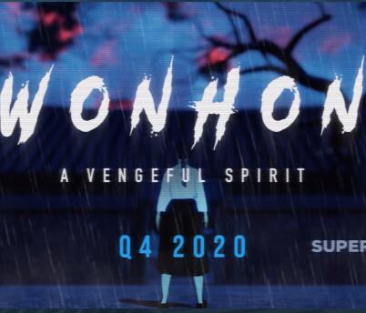 Wonhon：复仇灵魂剧情版