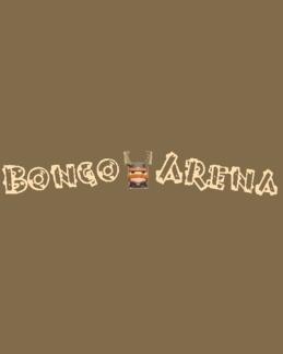 BongoArena绿色免安装版