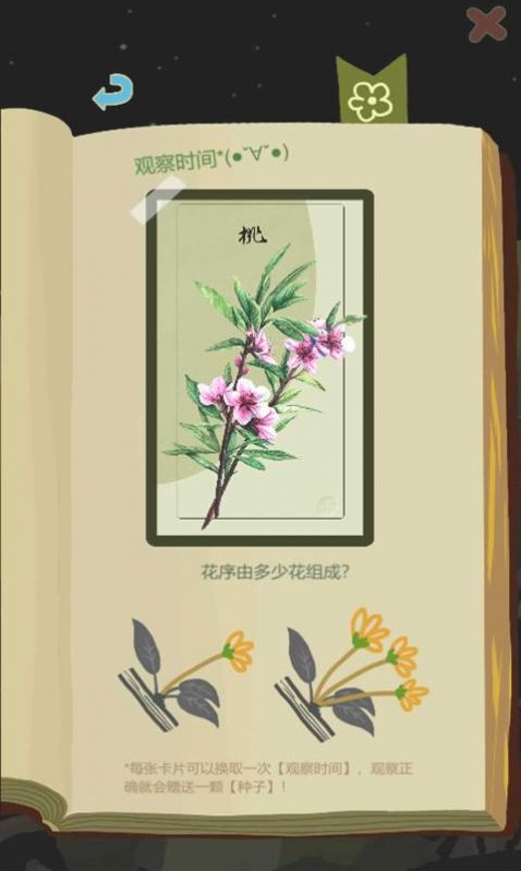 老农种树免费版