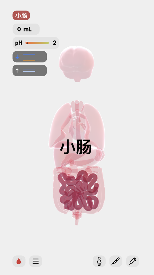 医学人体模拟器中文汉化版