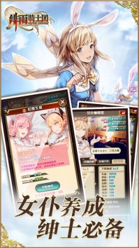 绯雨骑士团bt版