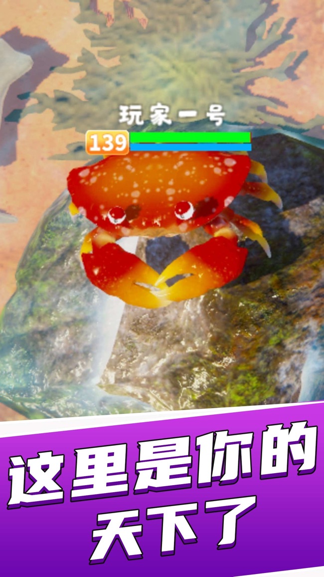 看我横着走：最强螃蟹