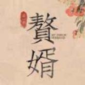 赘婿安卓最新版