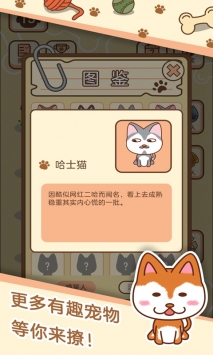 猛宠派对bt版