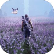 铃兰计划免费版