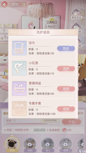 《一千克拉女王》怎么照顾宠物