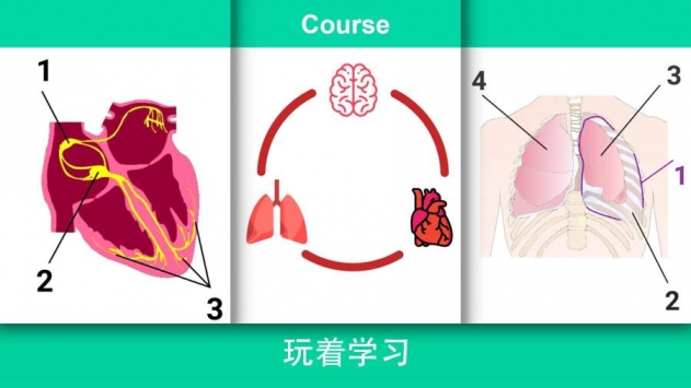 现实医疗模拟器免费版
