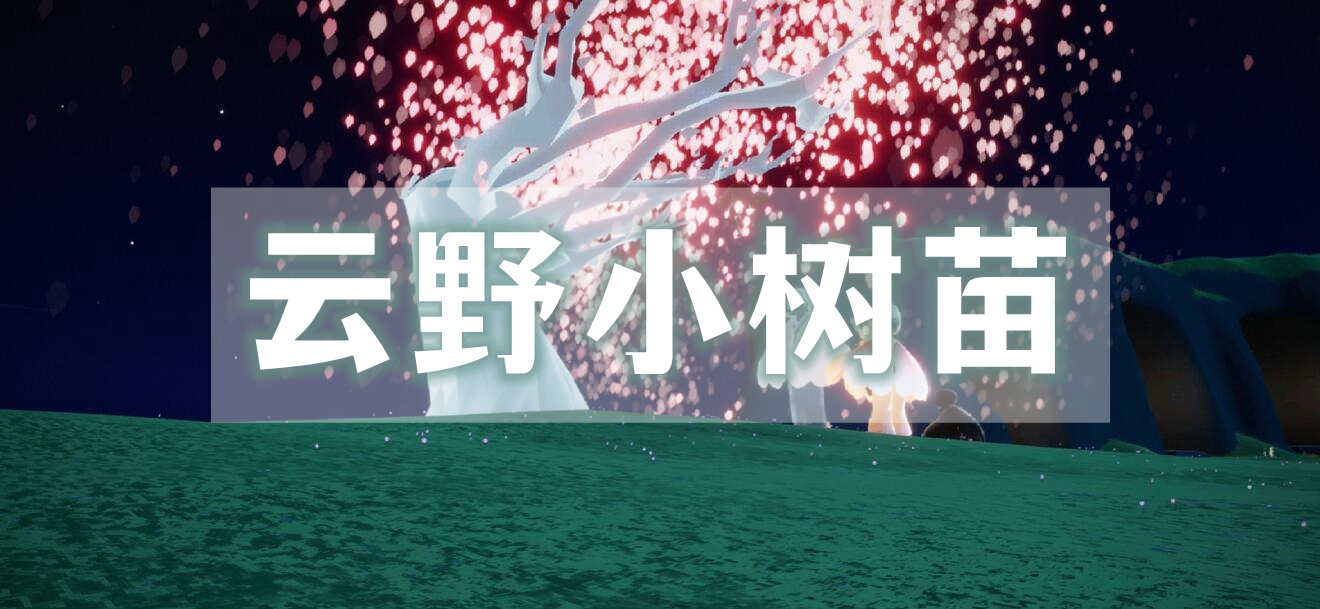 光遇云野小树苗位置介绍