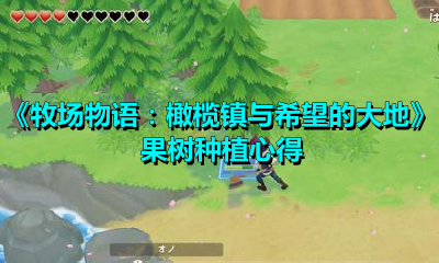 《牧场物语：橄榄镇与希望的大地》果树种植心得