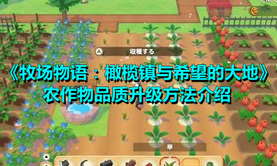 《牧场物语：橄榄镇与希望的大地》农作物品质升级方法介绍