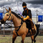 奥斯曼加齐模拟狩猎中文汉化版