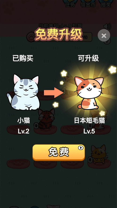我的小猫ios版