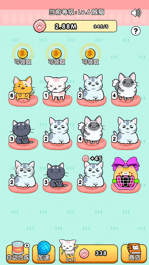 我的小猫ios版