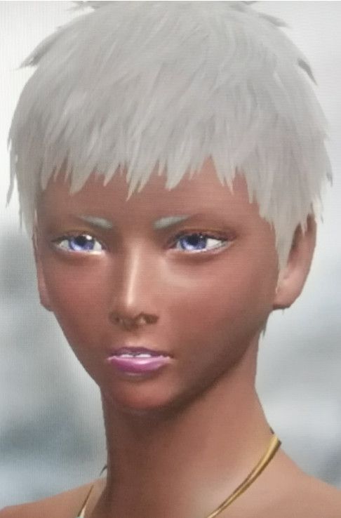 怪物猎人崛起捏脸数据大全 ns怪物猎人rise捏脸数据汇总