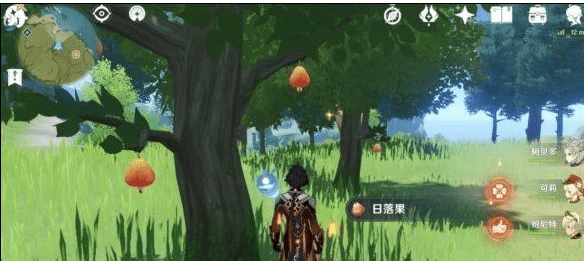 《原神》日落果哪里最多