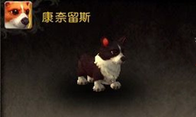 《魔兽世界》宠物康奈留斯获取攻略